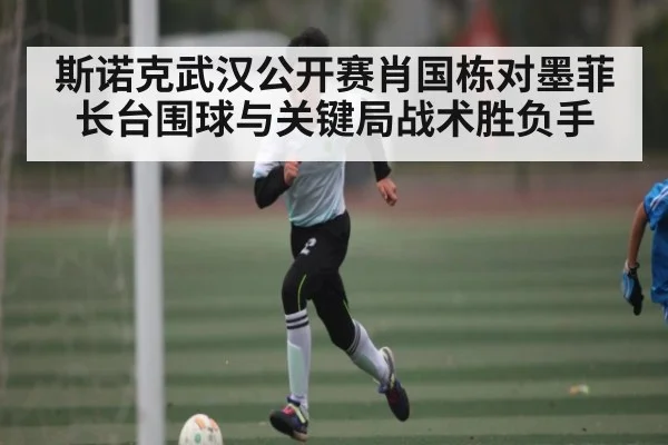斯诺克武汉公开赛肖国栋对墨菲长台围球与关键局战术胜负手